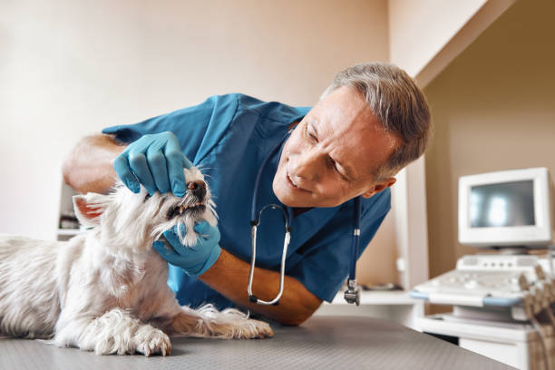 Best Emergency Wisdom Tooth Extraction in Newkirk, OK